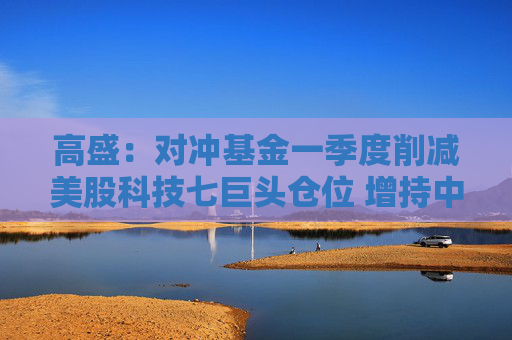 高盛：对冲基金一季度削减美股科技七巨头仓位 增持中概股