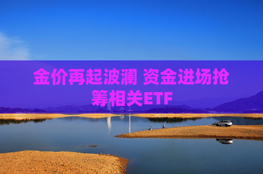 金价再起波澜 资金进场抢筹相关ETF