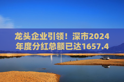 龙头企业引领！深市2024年度分红总额已达1657.47亿元