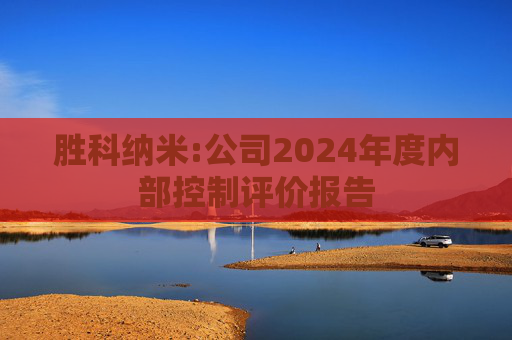 胜科纳米:公司2024年度内部控制评价报告