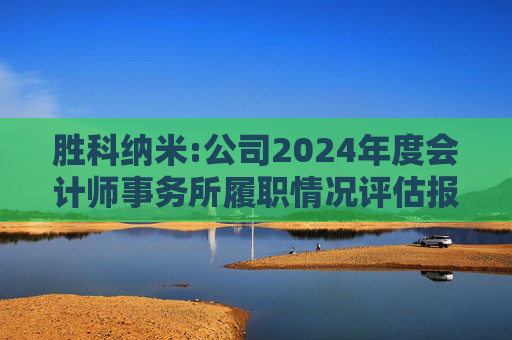 胜科纳米:公司2024年度会计师事务所履职情况评估报告