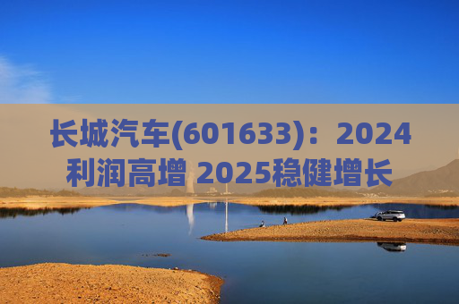 长城汽车(601633)：2024利润高增 2025稳健增长