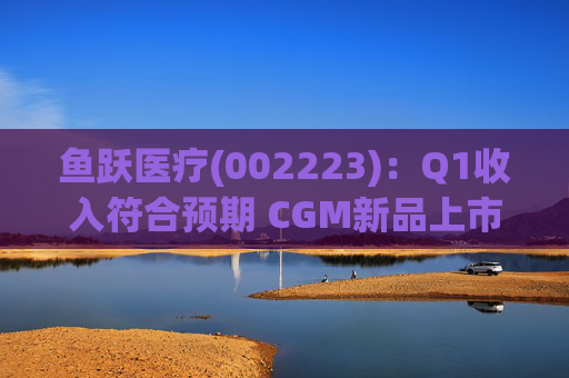 鱼跃医疗(002223):Q1收入符合预期 CGM新品上市丰富增长动能