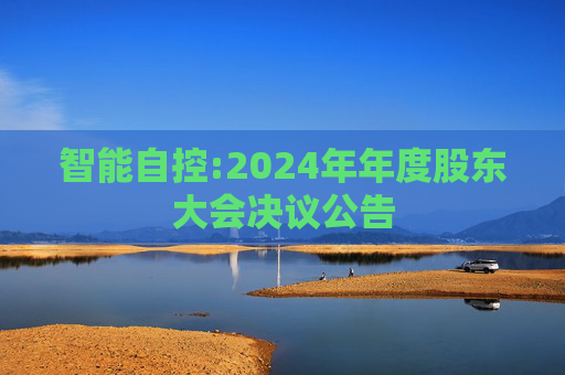 智能自控:2024年年度股东大会决议公告