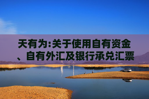 天有为:关于使用自有资金、自有外汇及银行承兑汇票等方式支付募投项目部分款项并以募集资金等额置换的公告  第1张