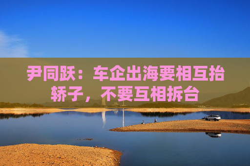 尹同跃：车企出海要相互抬轿子，不要互相拆台