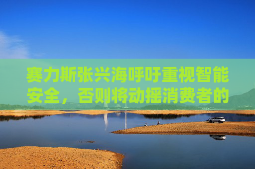 赛力斯张兴海呼吁重视智能安全，否则将动摇消费者的信心