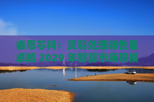 睿思芯科：灵羽处理器性能卓越 2029 年智算市场规模可期