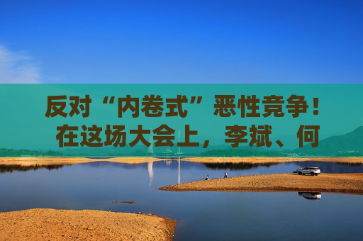 反对“内卷式”恶性竞争! 在这场大会上,李斌、何小鹏、閤先庆等表态“价格战”