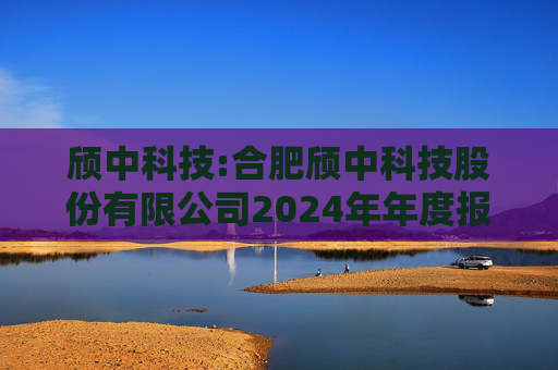 颀中科技:合肥颀中科技股份有限公司2024年年度报告  第1张