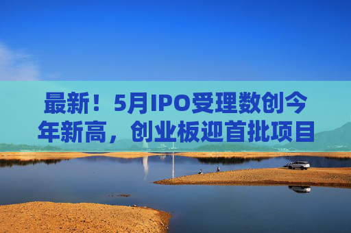 最新!5月IPO受理数创今年新高,创业板迎首批项目 第1张 最新!5月IPO受理数创今年新高,创业板迎首批项目 第1张