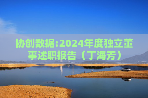 协创数据:2024年度独立董事述职报告(丁海芳)
