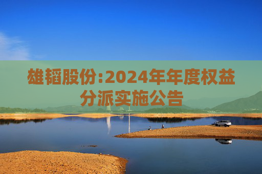 雄韬股份:2024年年度权益分派实施公告