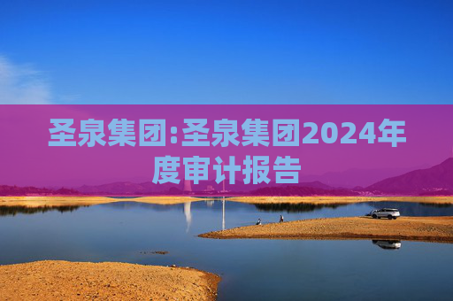 圣泉集团:圣泉集团2024年度审计报告  第1张