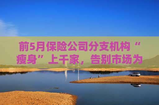 前5月保险公司分支机构“瘦身”上千家，告别市场为哪般