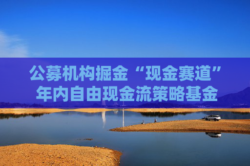 公募机构掘金“现金赛道” 年内自由现金流策略基金募资近150亿元