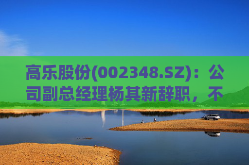 高乐股份(002348.SZ)：公司副总经理杨其新辞职，不再担任公司及控股子公司任何职务