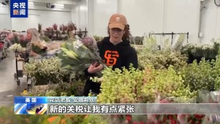 美加税加到内伤 特朗普又催降息 纳指“自由落体”进熊市