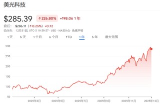 2025年美股最强Top 10，存储占了3只