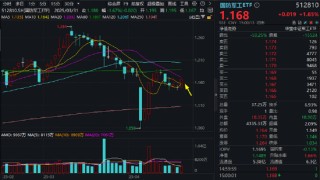 出海或加速，大飞机概念“起飞”，国睿科技涨停！国产大飞机逆袭之路开启？2029年产能或达200架！