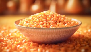 大幅下调半年度业绩，正大种业高度依赖经销渠道