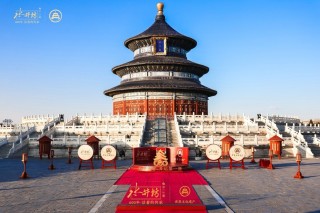 水井坊2024年营收突破50亿 展现长期发展韧性