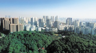 如何评价楼盘设计？该设计有哪些独特之处？