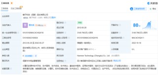 罗永浩被冻结713万股权