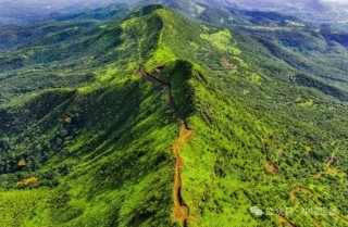 视频|首船西芒杜铁矿石运抵中国宝武马迹山港