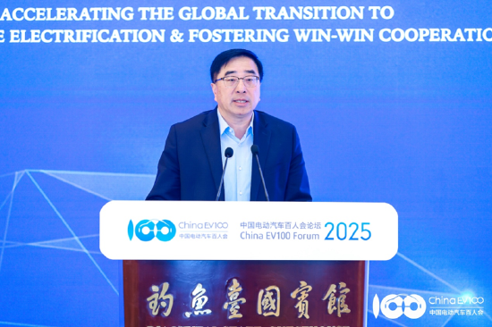 国际论坛顺利召开,共议全球汽车电动化合作、转型之策|百人会论坛2025 第14张 国际论坛顺利召开,共议全球汽车电动化合作、转型之策|百人会论坛2025 第14张