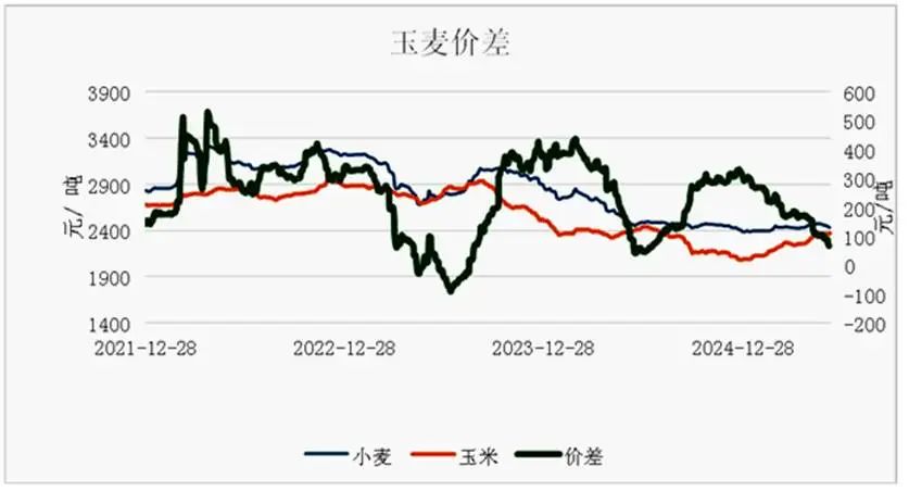 6月步入青黄不接,玉米行情是涨是跌? 第3张 6月步入青黄不接,玉米行情是涨是跌? 第3张