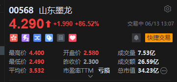 港股山东墨龙午后继续飙升，现涨超86%  第2张