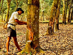 如何分析橡胶期权流动性差的原因?流动性对期权交易有何影响? 第1张 如何分析橡胶期权流动性差的原因?流动性对期权交易有何影响? 第1张