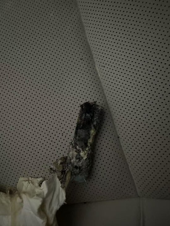 车主称理想MEGA“自燃”，最新回应！  第2张