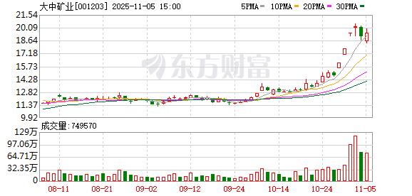 大中矿业：无逾期担保累计金额  第1张