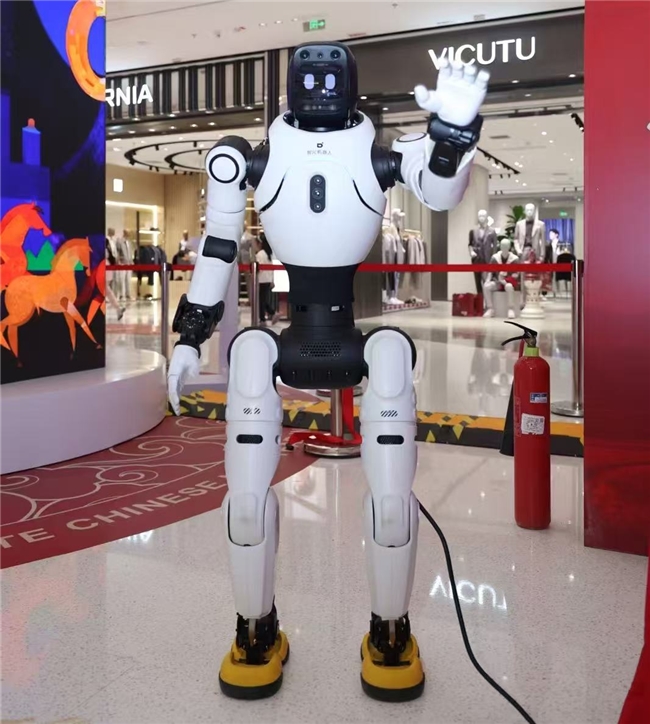 春晚看不过瘾，来海淀新春科技庙会机器人陪你玩！  第8张