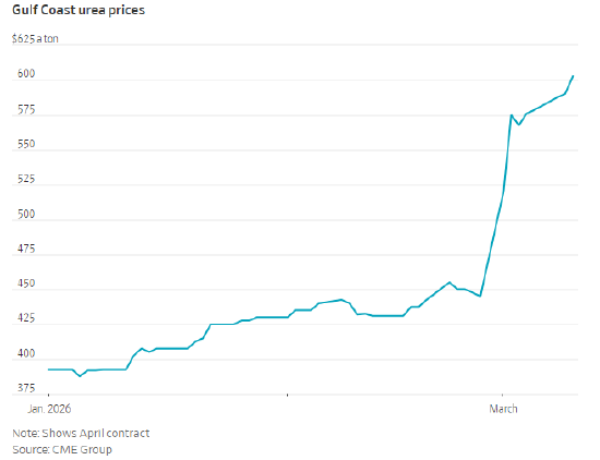 能源危机给一群农业微生物带来“救赎机会”  第2张